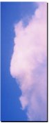 Pregnant Cloud
