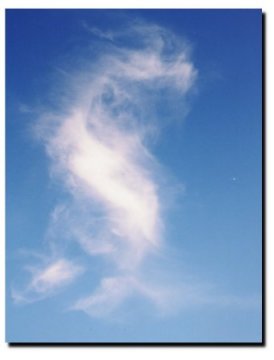 Standing Dragon
