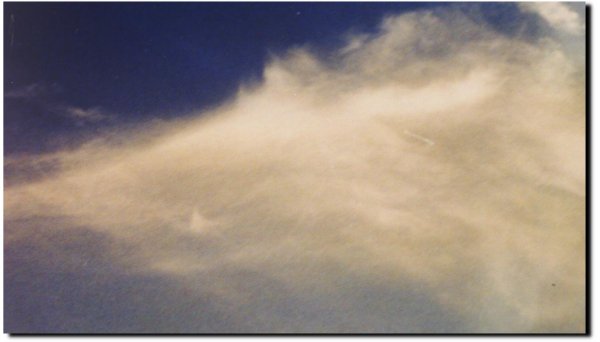Wild Boar in skies!