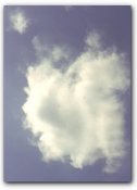 fluffy cotton candy