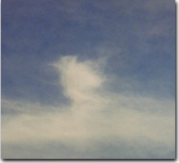 Chick in the skies!