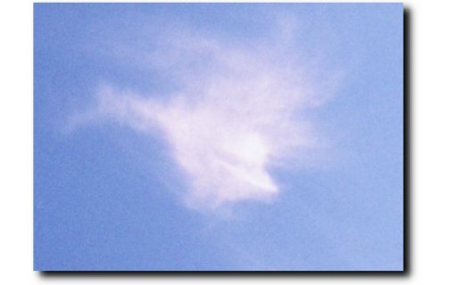 Sky Dolphin!