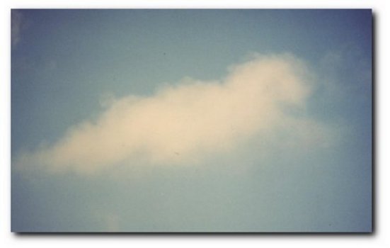 Watching the Cloud Sheep!