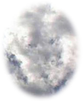 apparent parent and child