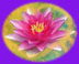 and chakras