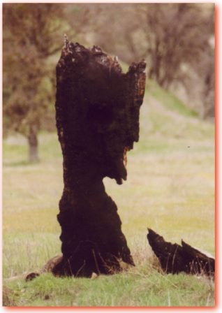 oooohhh it's cool up here